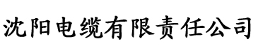 亚洲国产一区二区三区自拍电缆厂logo